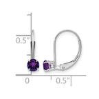 14k White Gold 4mm Round February/Amethyst Leverback Earrings