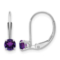 14k White Gold 4mm Round February/Amethyst Leverback Earrings