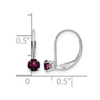 14k White Gold 4mm Round June/Rhodolite Garnet Leverback Earrings