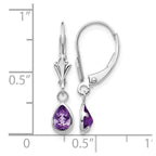 14k White Gold 6x4 Pear Bezel February/Amethyst Leverback Earrings