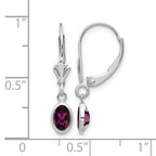 14k White Gold 6x4 Oval Bezel June/Rhodolite Garnet Leverback Earrings