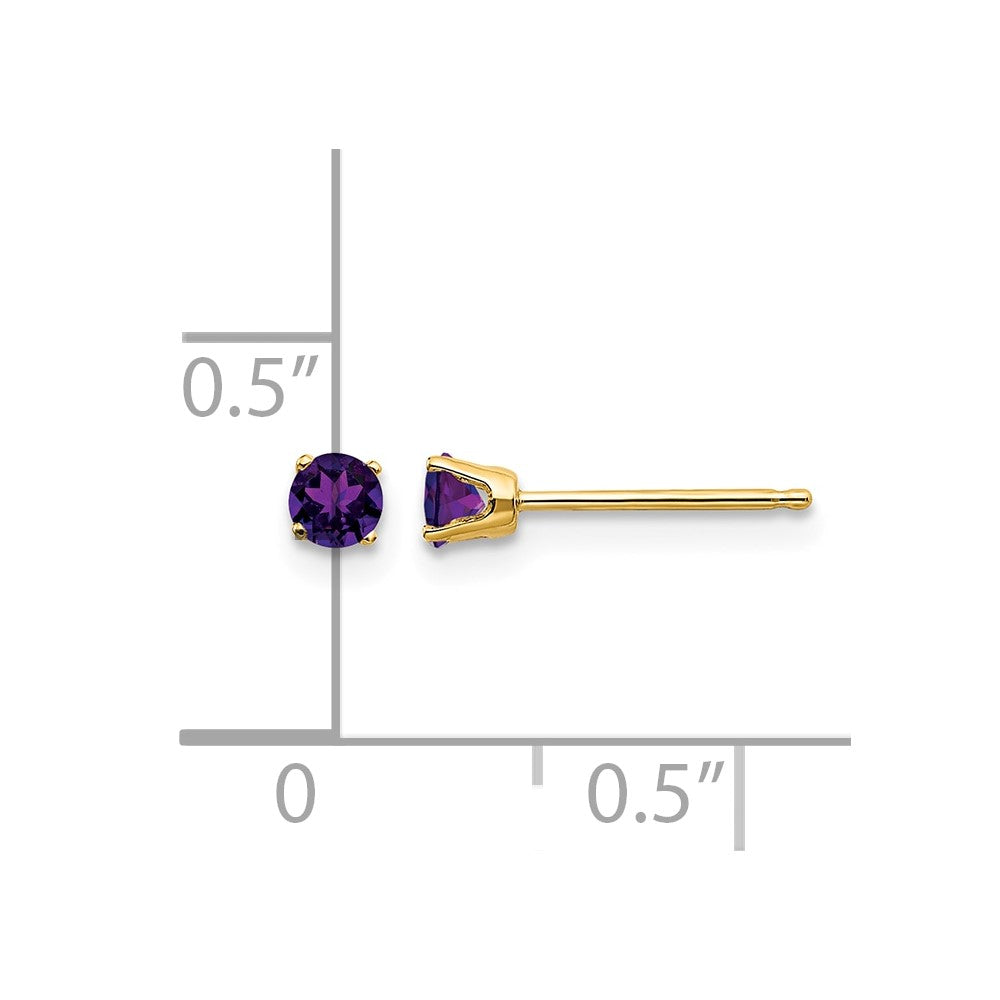 14k 3mm Round February/Amethyst Post Earrings