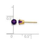 14k 4mm Round February/Amethyst Post Earrings