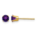 14k 4mm Round February/Amethyst Post Earrings
