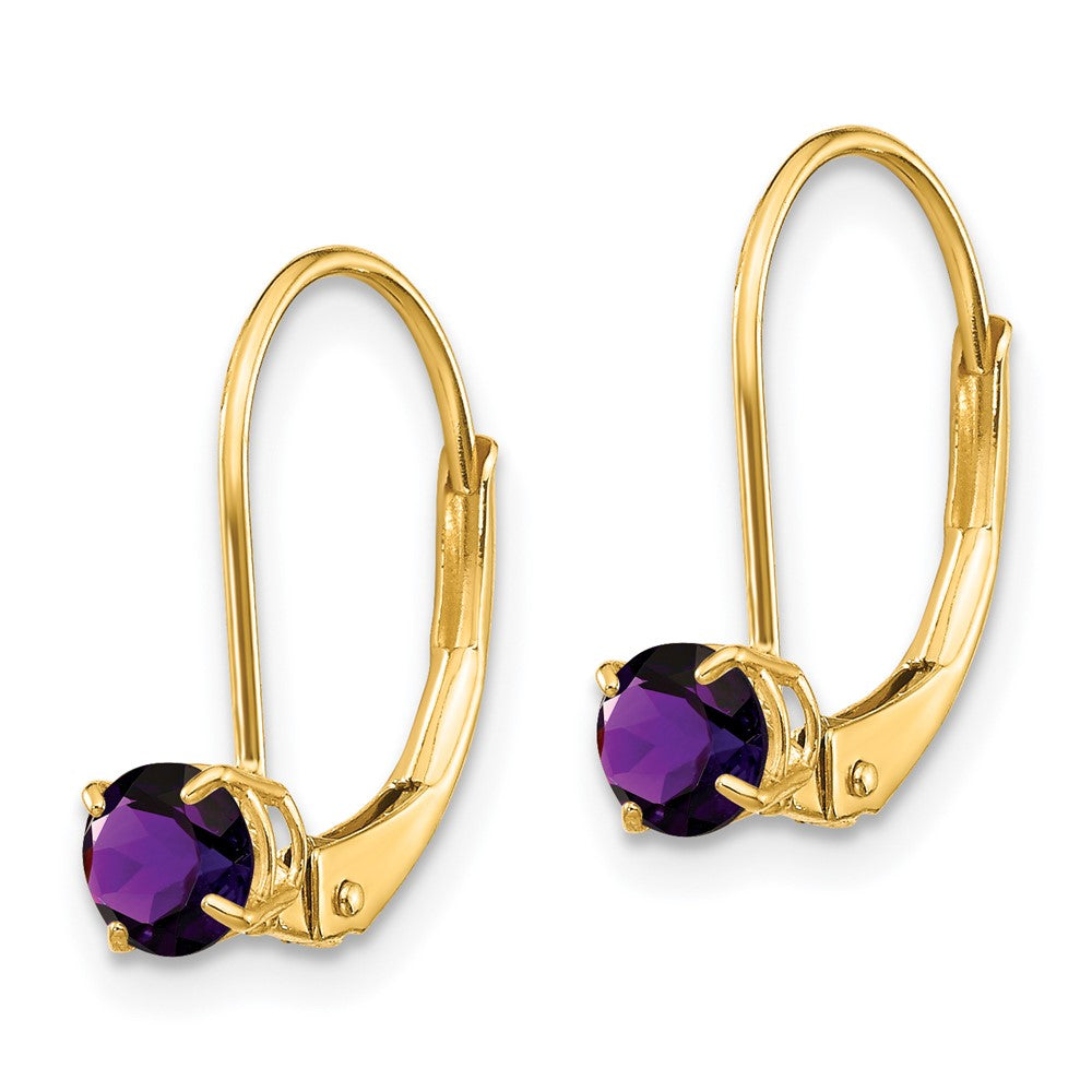 14k 4mm Round February/Amethyst Leverback Earrings