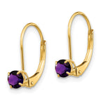 14k 4mm Round February/Amethyst Leverback Earrings