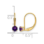 14k 4mm Round February/Amethyst Leverback Earrings