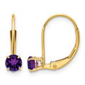 14k 4mm Round February/Amethyst Leverback Earrings