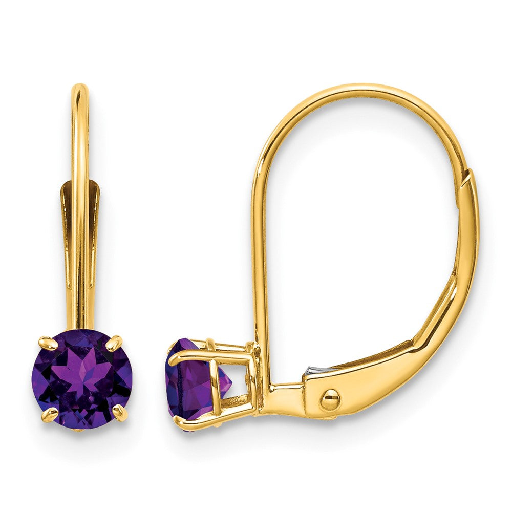 14k 4mm Round February/Amethyst Leverback Earrings