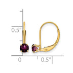 14k 4mm Round June/Rhodolite Garnet Leverback Earrings