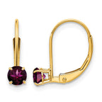 14k 4mm Round June/Rhodolite Garnet Leverback Earrings