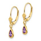 14k 6x4mm Pear Bezel February/Amethyst Leverback Earrings