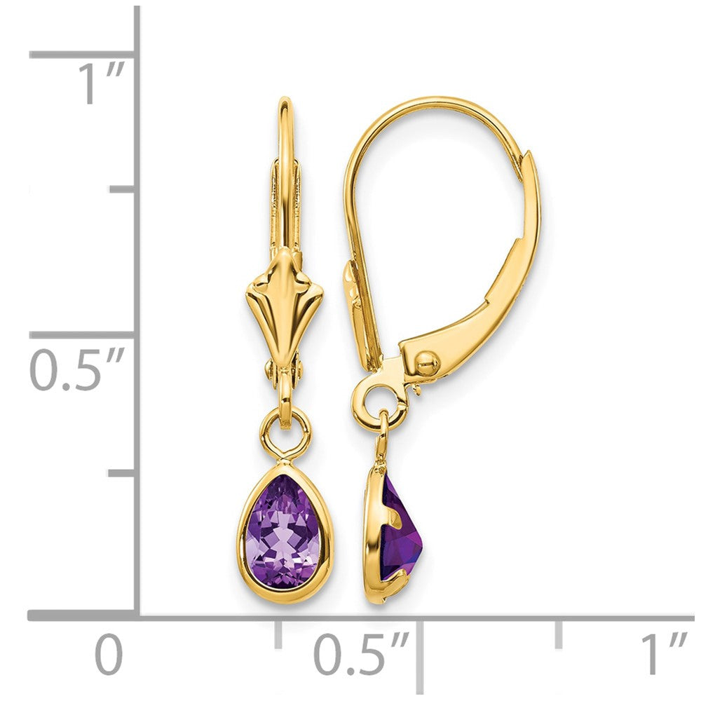 14k 6x4mm Pear Bezel February/Amethyst Leverback Earrings