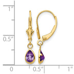 14k 6x4mm Pear Bezel February/Amethyst Leverback Earrings