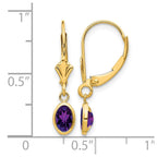 14k 6x4 Oval Bezel February/Amethyst Leverback Earrings