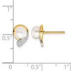 14k 5-6mm White Button Freshwater Cultured Pearl and .01 carat Diamond Post Earrings