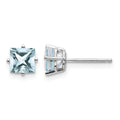 14k White Gold 5mm Princess Aquamarine Post Earrings