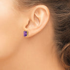 14k 9x7mm Emerald-Cut Amethyst Post Earrings