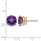 14k 10mm Round Amethyst Post Earrings