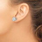 14k White Gold 10mm Round Cubic Zirconia Post Earrings