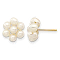 14k 3-4mm White Egg-shape Freshwater Cultured Pearl Flower Post Earrings