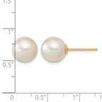 14k 9-10mm White Round South Sea Saltwater Cultured Pearl Post Earrings