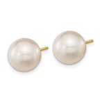 14k 10-11mm White Round South Sea Saltwater Cultured Pearl Post Earrings