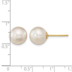 14k 10-11mm White Round South Sea Saltwater Cultured Pearl Post Earrings