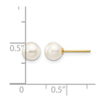 14k 5-6mm White Round Akoya Saltwater Cultured Pearl Stud Post Earrings