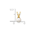14k 4-5mm White Round Freshwater Cultured Pearl Pendant