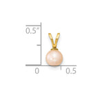 14k 5-6mm Round Pink Freshwater Cultured Pearl Pendant
