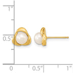 14k 5-6mm White Button Freshwater Cultured Pearl Post Earrings