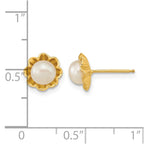 14k 5-6mm White Button Freshwater Cultured Pearl Flower Post Earrings