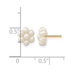 14k 2-3mm White Button Freshwater Cultured Pearl Flower Post Earrings