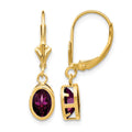 14k 7x5mm Oval Rhodolite Garnet Bezel Leverback Dangle Earrings