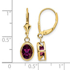 14k 8x6mm Oval Rhodolite Garnet Bezel Leverback Dangle Earrings