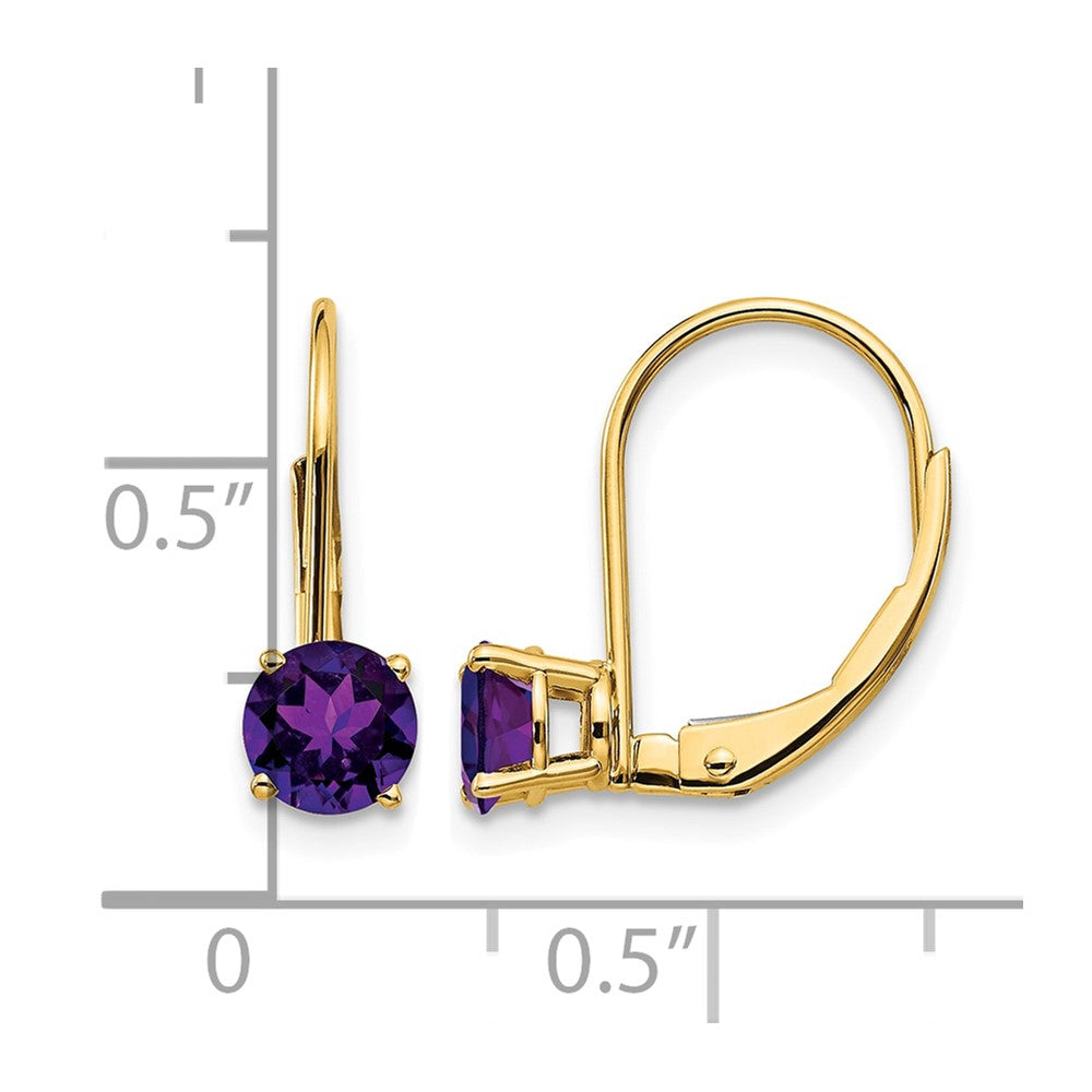 14k 5mm Round Amethyst Leverback Earrings