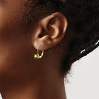 14k 5mm Round Peridot Leverback Earrings