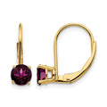 14k 5mm Round Rhodolite Garnet Leverback Earrings