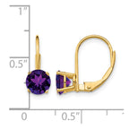 14k 6mm Round Amethyst Leverback Earrings