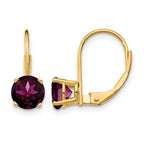 14k 6mm Round Rhodolite Garnet Leverback Earrings