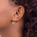 14k White Gold 6mm Round Citrine Leverback Earrings
