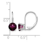 14k White Gold 6mm Round Rhodolite Garnet Leverback Earrings