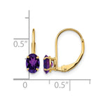 14k 6x4mm Oval Amethyst Leverback Earrings