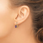 14k 6x4mm Oval Lab Created Ruby Leverback Earrings