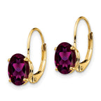 14k 8x6mm Oval Rhodolite Garnet Leverback Earrings