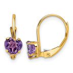 14k 5mm Heart Amethyst Leverback Earrings