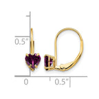 14k 5mm Heart Rhodolite Garnet Leverback Earrings