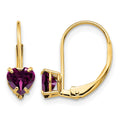 14k 5mm Heart Rhodolite Garnet Leverback Earrings