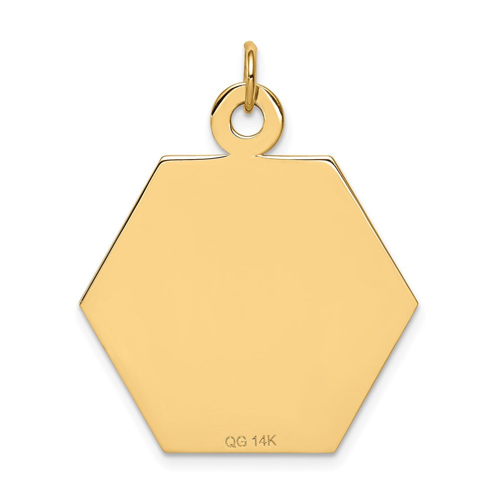 14k 26.5mm Hexagon Red Enameled Medical Jewelry Pendant